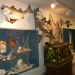 Nature Exhibit