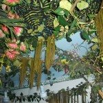 Rain Forest Exhibit