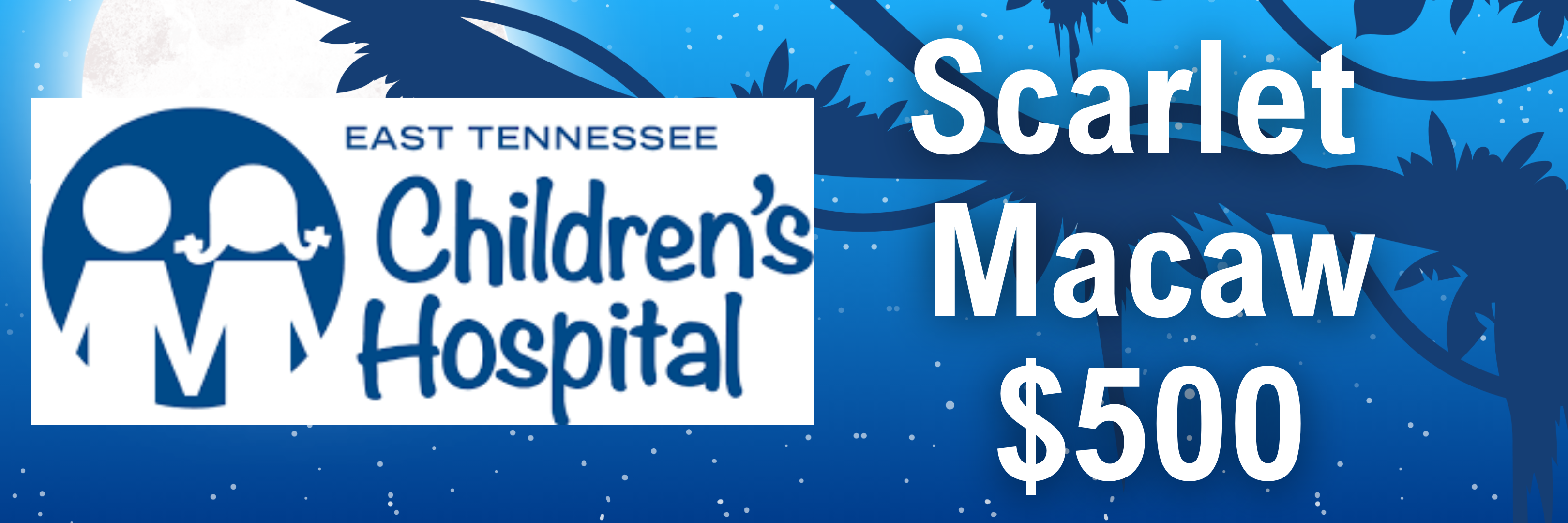 Mary Palmer E TN Children's Hospital Gala Sponsorship 2024